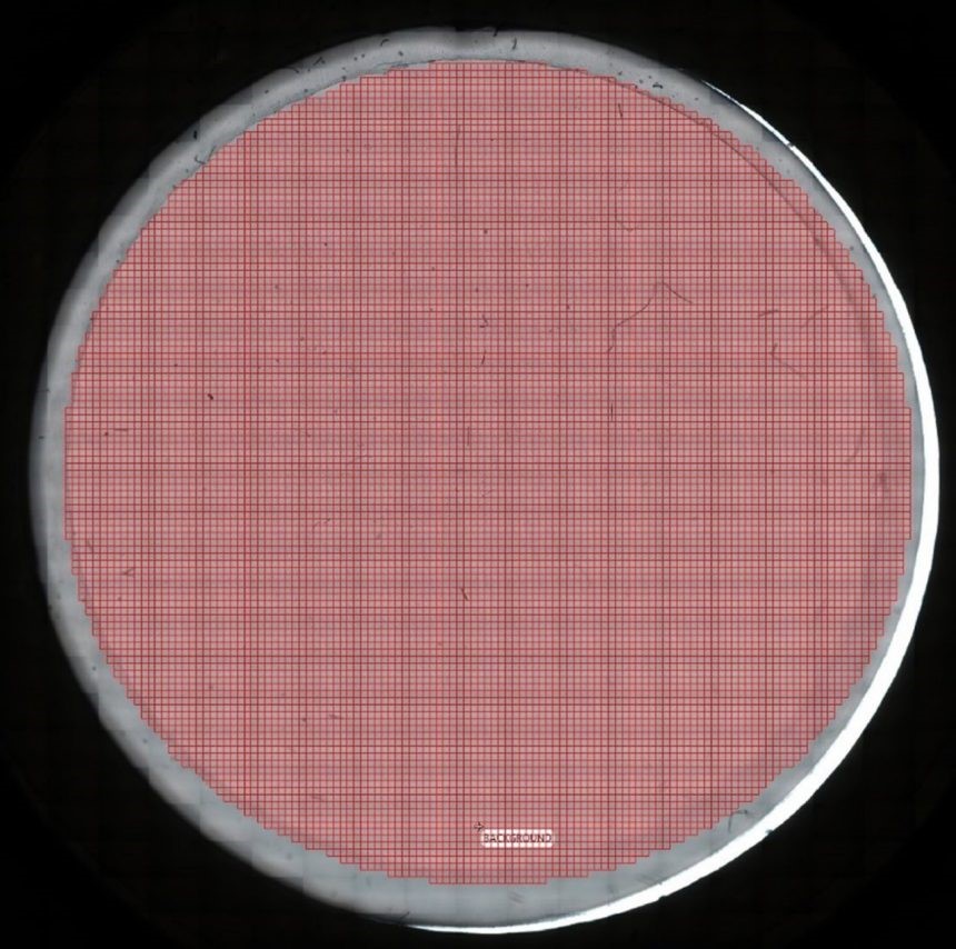 Microscopy  Round Filter