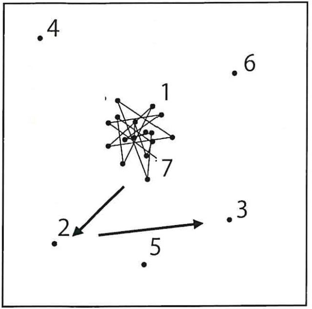 RAMANwalk Schematic