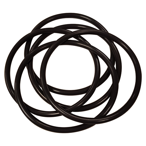 Sample Well O-ring, Viton (Pack of 5) - 13740-004